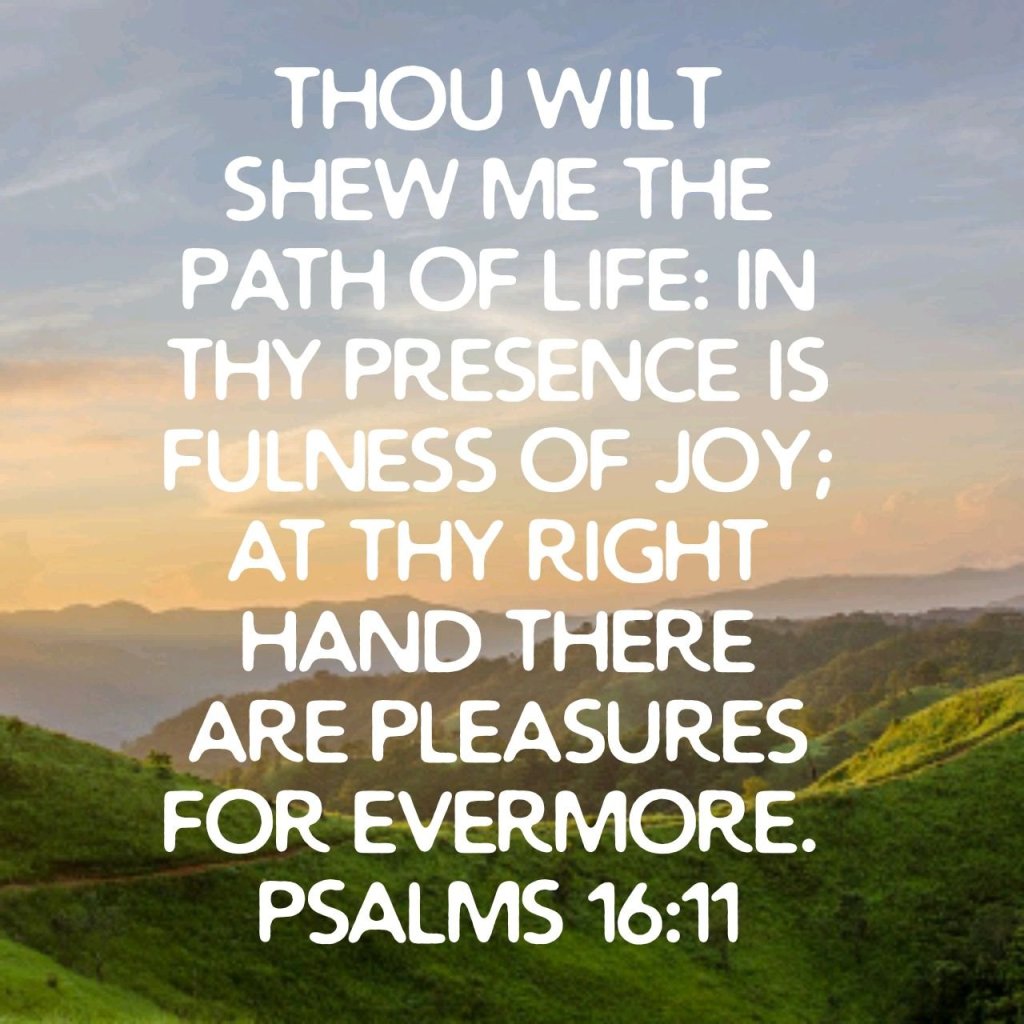 Psalm 16:11 King James Version is on the image over a background that shows a blue sky and nature seen
